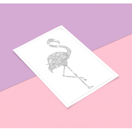 Раскраска "Фламинго"